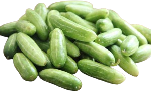 Ivy Gourd, Tondli (तोंडली) image