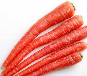 Carrot (गाजर) image