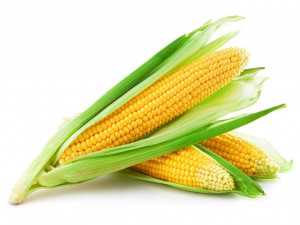 Corn (मक्का) image