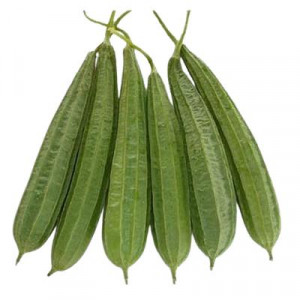 Ridge Gourd (Turai – तुरई) image