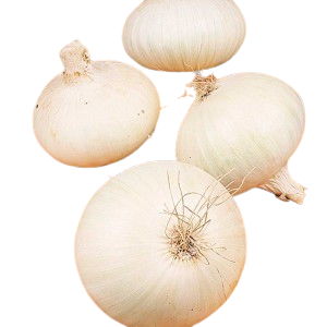 Onion - White Medium (उन्हाळी कांदा) image