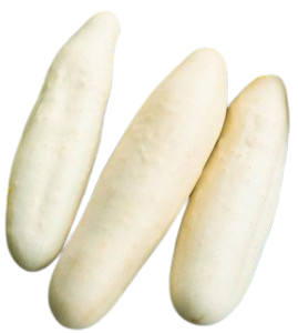 Cucumber White (ककड़ी) image